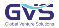Global Venture Solutions - Management Consultants